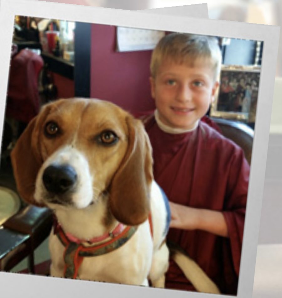 A young customer in a barber cape beside a beagle in the shop